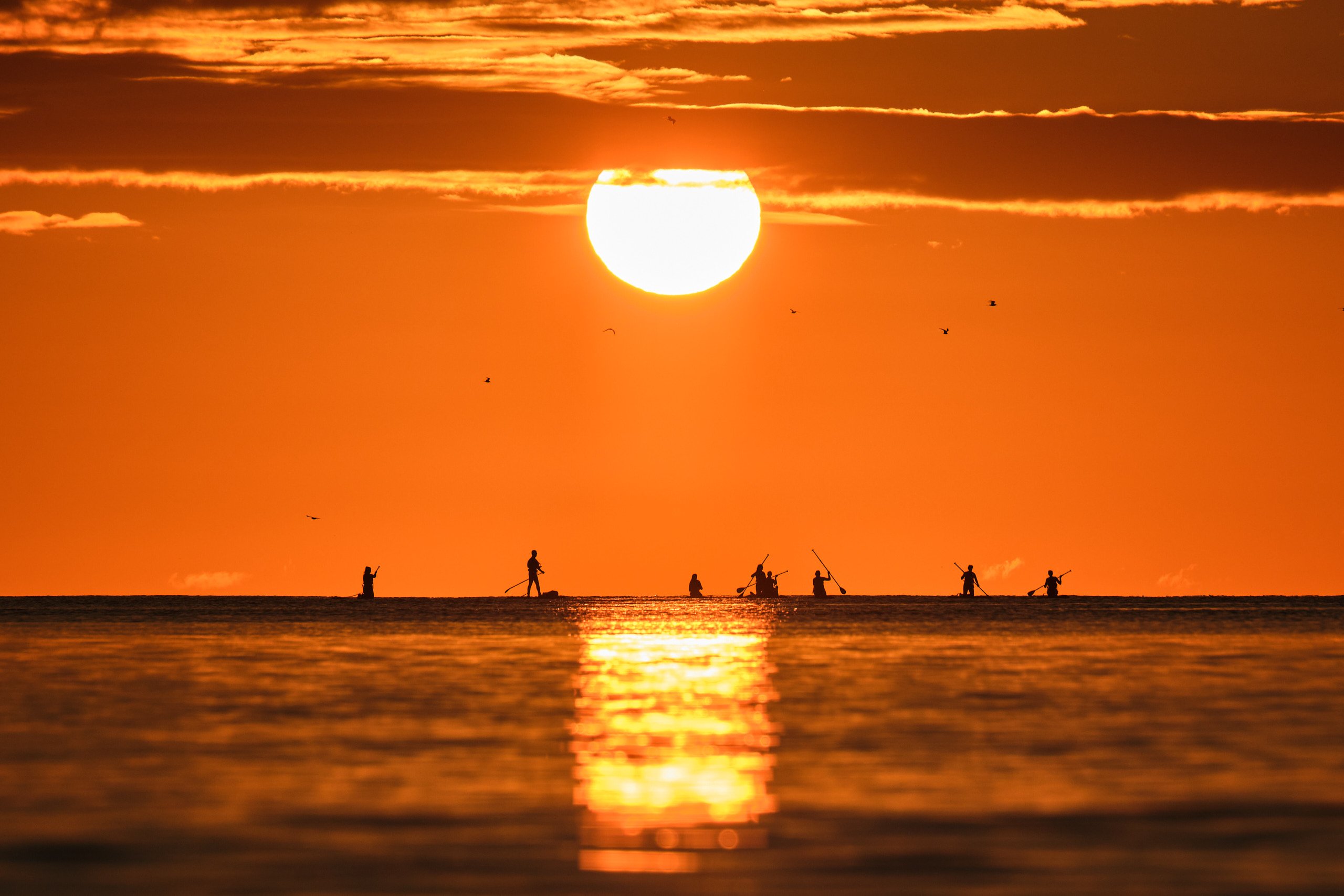 Paddleboarders silhouetted against a sunrise sky near Roker Pier